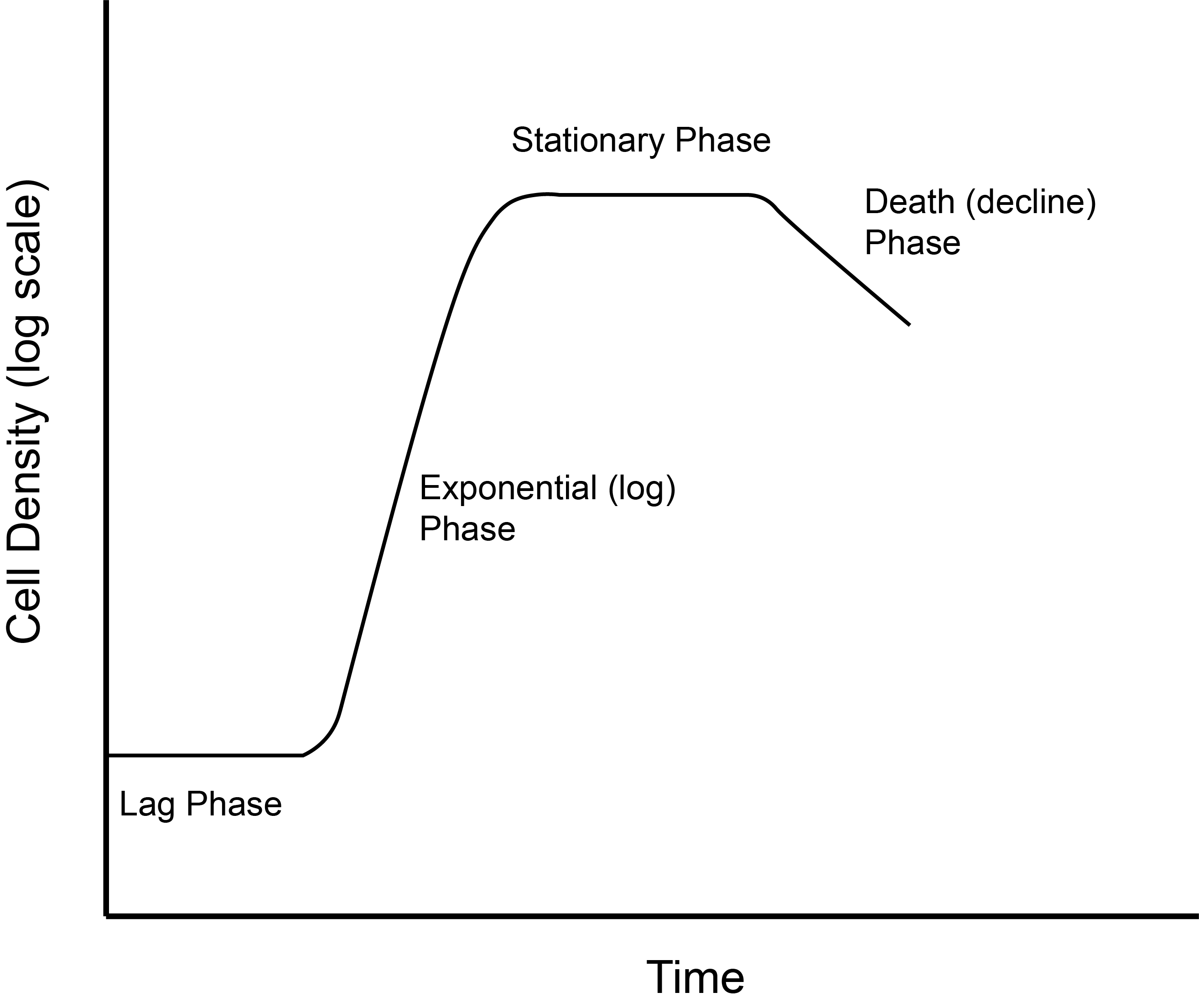 Computational Thinking and Problem Solving – Computational Science
